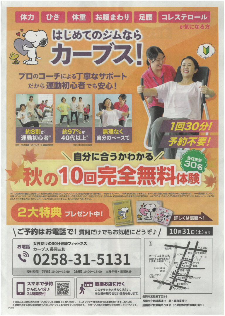 チラシ