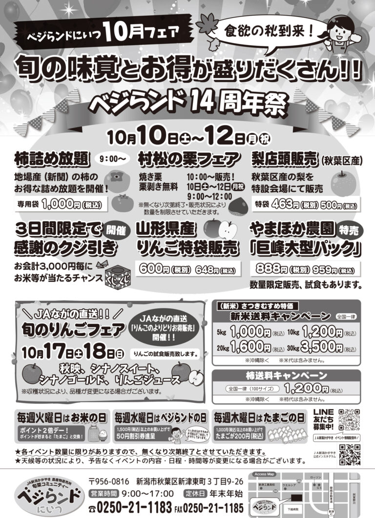 チラシ