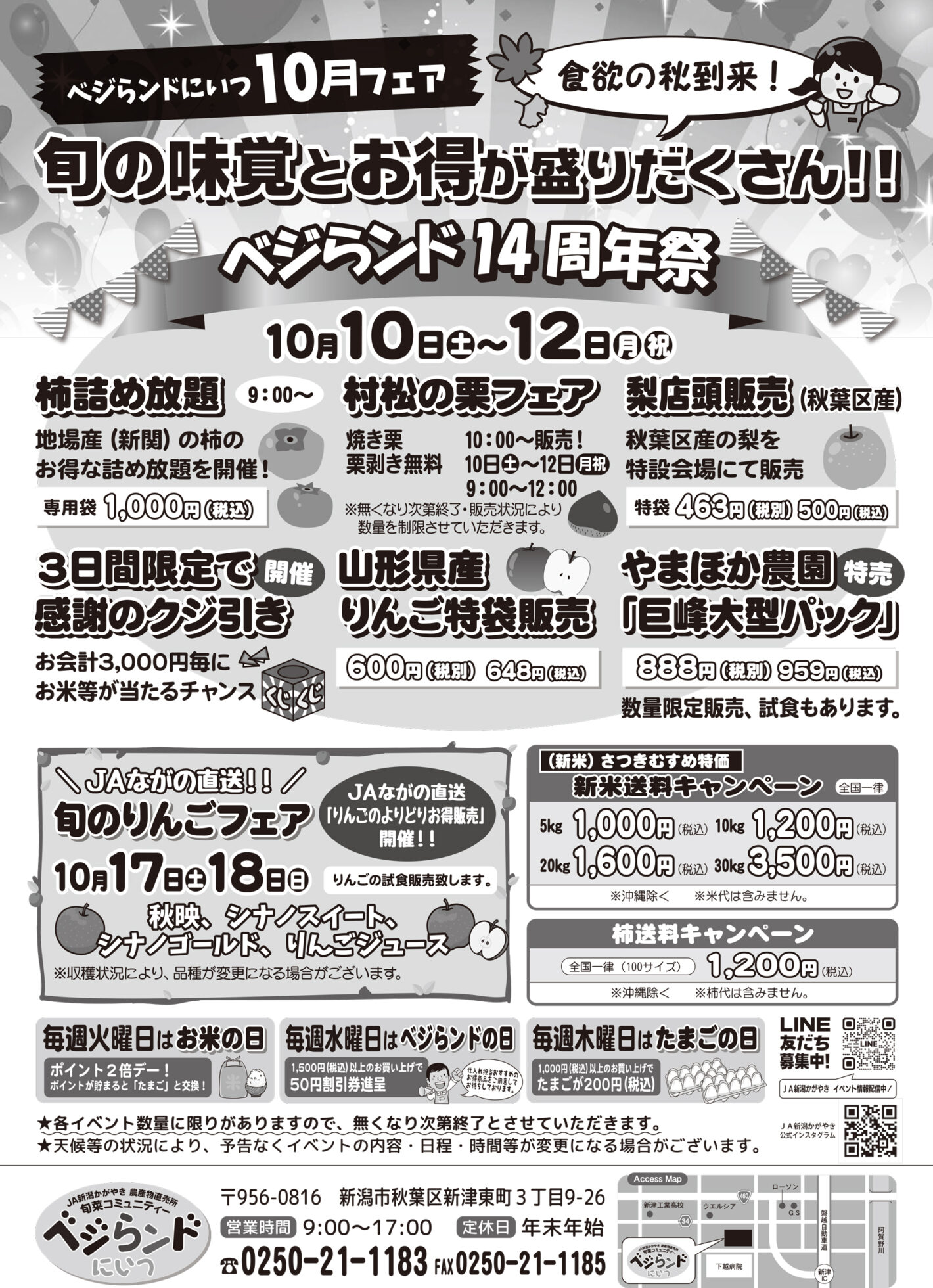 チラシ