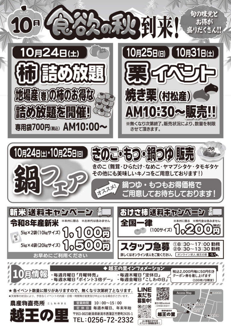 チラシ