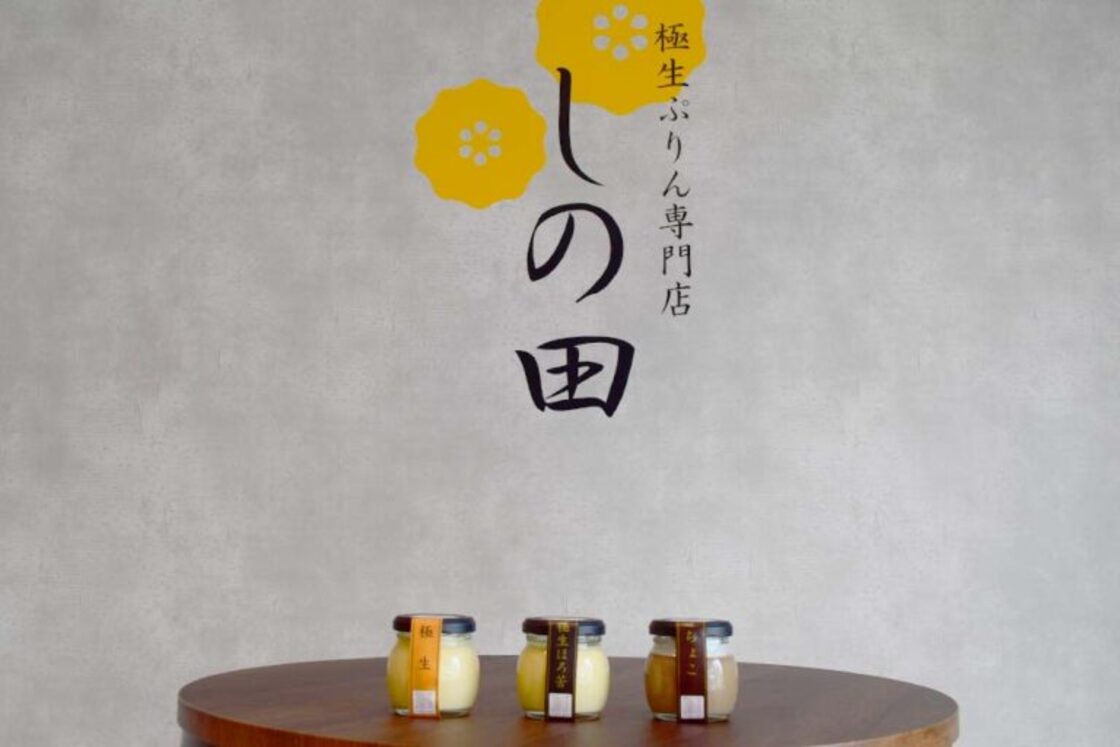 極生ぷりん専門店 しの田のプリン
